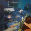 해우2농장 | 대구 가볼만한곳 신세계백화점 아쿠아리움 방문후기!!