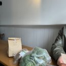 라이블리판다