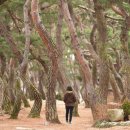 삼한시대 이미지