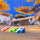 2호선 센텀시티역 6번출구 이미지