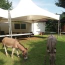 해맞이목장 이미지