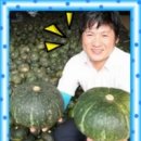 마산어시장약국 이미지