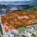 선경유통 이미지