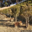 안식목장 이미지