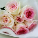 무지개언덕 이미지