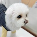 탄리로95번길 이미지