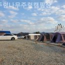 꽃주렁 나무주렁 캠핑장 | [용인/캠핑장/글램핑] 꽃주렁나무주렁캠핑장 도심을 벗어나 별빛 아래에서 쉬다