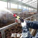 용인축협 한우사육장 이미지