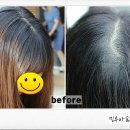 토리헤어(주안점) 이미지