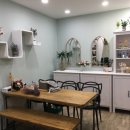 카타리나 스튜디오