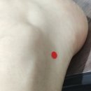 이수민에스테딕