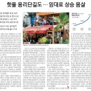 11월19일 부동산뉴스