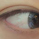 아이리스안경 콘택트 이미지