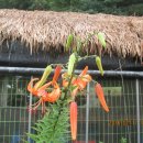 신원1리 경로당 이미지