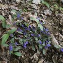 금창초등학교 이미지