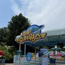 서울슈퍼 | 서울랜드 출동 슈퍼윙스 감성텐트 대여 후기