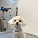 홍글몽글 이미지