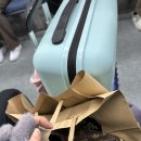 [원주]올해도 어김없이 웰리힐리파크 후기 원주여행(시외버스,무궁화호기차 이용)