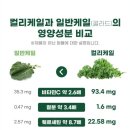 싱싱그린녹즙 | 채소의 여왕 컬리케일, 분말로 간편하게 먹는 법! <아자팜>국산 컬리케일 100% 한달간 먹어본 리얼후기