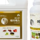 제이에스마트 이미지