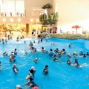 알펜시아 스포츠파크 바이애슬론 경기장 이미지