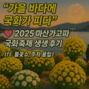 가고파분식 | 🌼 "가을 바다에 국화가 피다" 💖 2025 마산가고파국화축제 생생 후기 & 총정리 (ft. 불꽃쇼, 주차 꿀팁)