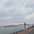 바다횟집식당 | 목포맛집 평화광장횟집 목포회맛집 바다뷰식당 후기