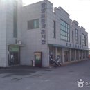 함양토종약초 Daum카페