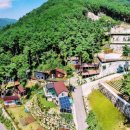 소나무농원 캠핑장 이미지