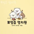 멍치원 | 서울 도봉구 애견호텔 뽀밍츄 멍치원 사용자리뷰 영업시간 위치