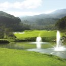 더 스타 이미지