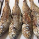 박존옥 천마설렁탕 & 갈비탕 이미지