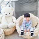 바니베어뮤지엄 이미지