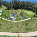 스테이 태연 | 울릉도가족펜션 울릉도 최고의 감성 숙소, 스테이 태연 후기