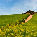 천북농장 이미지