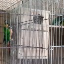 한종농장 이미지