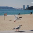 현대비뇨기과의원 이미지