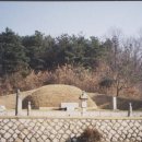 이인탁 | [펌] 잔다리 용인이씨 중인의묘