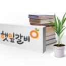 과일박사김박사