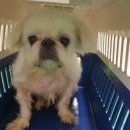 재송동물병원 이미지