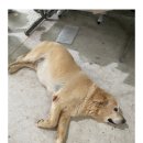 종원농장 이미지