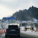 평창송어 이미지