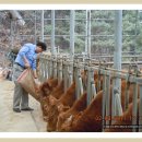 상만농장 이미지