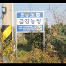 금강농장 이미지