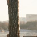 보스송 네이버블로그