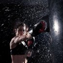 크리드 복싱 이미지