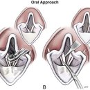 조치원메디컬센터 이미지