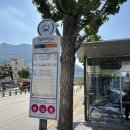 11545-10-13-23 | [도보일지] 부산 갈맷길#23 부산 갈맷길 4-2구간 완보 후기(감천항~갈맷길 안내판 옆~몰운대)