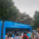 세듀투어주 | 포뮬러 E 서울/ 서울 E-prix 후기 (1)