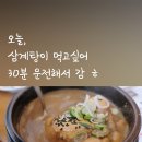 백세투어 이미지